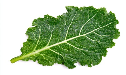 Single, vibrant green leaf, deeply veined, slightly ruffled edges, isolated on white background, showing prominent midrib