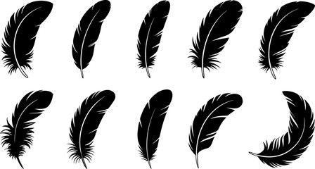 Ten black feather silhouettes illustrating various shapes and textures on a clean white background.