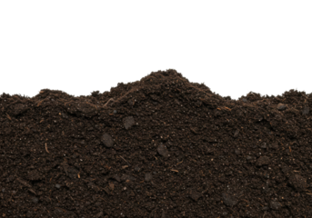 Rich dark soil texture with organic compost and fertile earth for gardening and agriculture. Cut out PNG