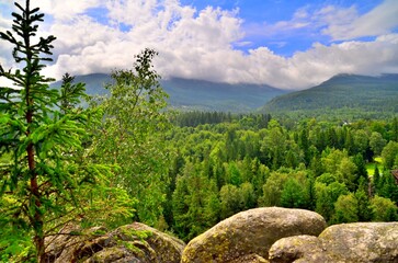 karkonosze mountains landscape with trees