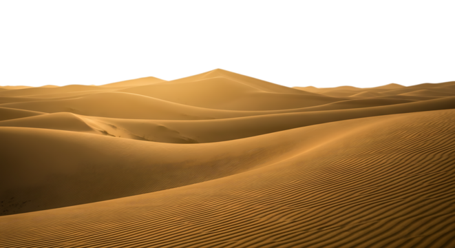 Golden sand dunes stretch across the desert landscape under a clear sky isolated on transparent background