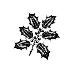Fototapeta premium Vintage holly branch icon with berries for Christmas decoration.