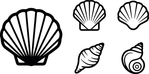 Collection of 5 various seashell icon isolated on transparent background, representing marine life and coastal elements
