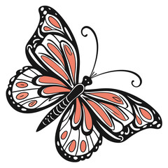 butterfly vector illustration