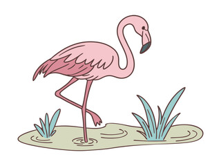 Pink Flamingo Standing in Water
