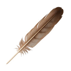 Brown feather isolated on transparent background 
