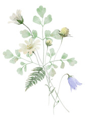 Obraz premium Watercolor Wildflower illustration