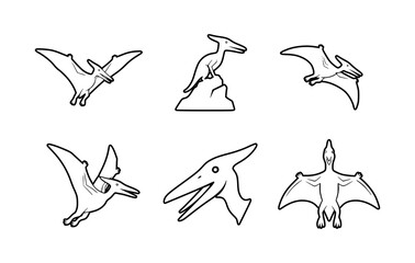 Various Pterodactyl illustrations in black and white, a historical creature.