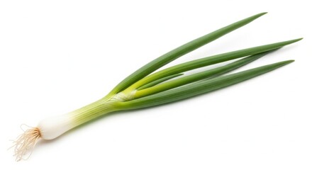 Fototapeta premium Fresh scallion isolated on white background