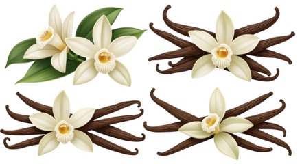 Vanilla flowers and pods on a black background png, transparent, white background, ai generated, 