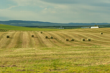 big square bales of hay lay in a field in Idaho with a hazy background © Debra Lawrence