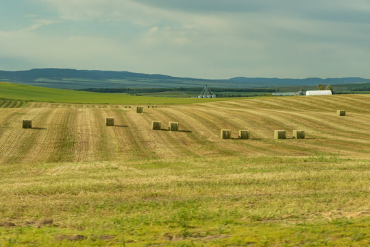 big square bales of hay lay in a field in Idaho with a hazy background - Powered by Adobe