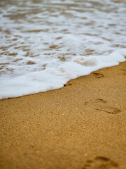 Beach in india with oceanic shore