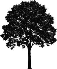 Single leafy tree silhouette illustration, detailed summer foliage, black tree vector graphic, isolated on white, natural environment design element