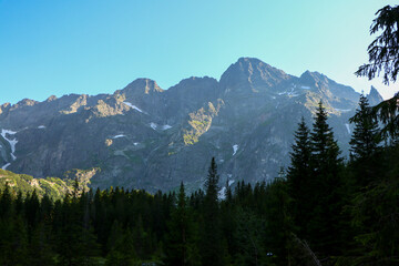Fototapeta premium mount rainier national park