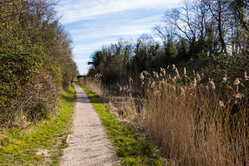 Fototapeta premium path in the countryside