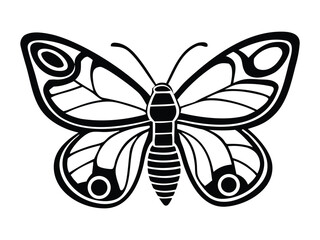 Intricate Butterfly Silhouette with Symmetrical Wing Patterns