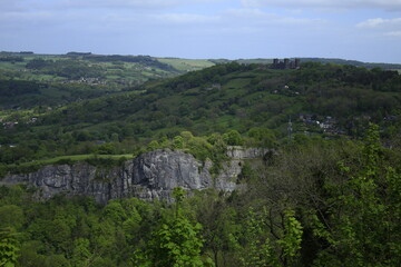 mountain landscape with trees
