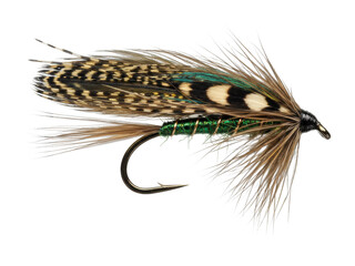 Detailed traditional fly fishing lure with feather and hook structure. Cut out PNG