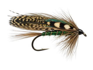 Detailed traditional fly fishing lure with feather and hook structure. Cut out PNG