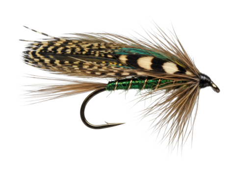 Detailed traditional fly fishing lure with feather and hook structure. Cut out PNG