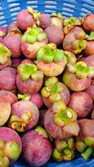 Exotic Mangosteen Harvest: A vibrant display of fresh mangosteen fruits, showcasing their unique purple and green hues.