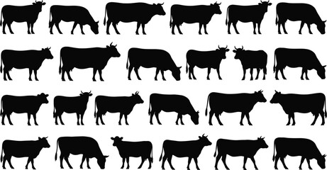Cow silhouette collection, farm animal vector, cattle poses set, grazing cow clipart, livestock illustration, black cow shapes, rural graphic