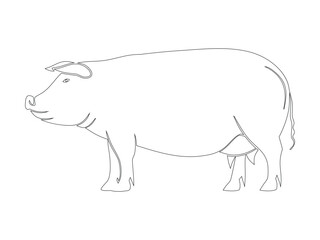 Minimalist Line Drawing of Pig in Side Profile View