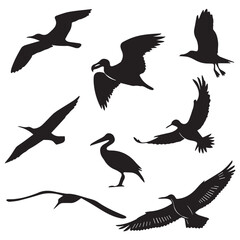 Collection of diverse bird silhouettes in flight showcasing various species and wing positions against a white background