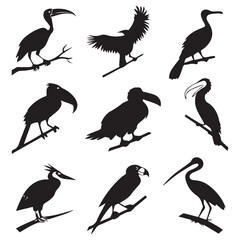 Obraz premium Collection of nine distinct bird silhouettes perched on branches showcasing diverse avian species in black and white