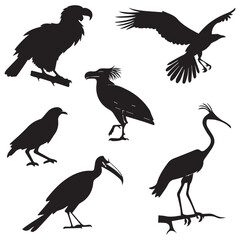 Collection of silhouettes of various birds including eagles vultures crows and herons in flight and standing
