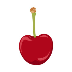 Whole cherry with twig. Cherry hand drawn. Fruit collection.