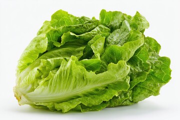 A fresh, bright green head of crisp lettuce with slightly ruffled leaves, sits on a white background, showcasing its dewy texture and vibrant color