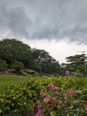 An image of the roadside vegetation, including lush green flowers, plants and trees on the coastal road during a cloudy day in the monsoon month of June in the state of Andhra Pradesh, India.