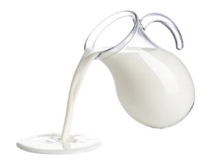 Fresh milk pouring from jug in stream isolated on white background
