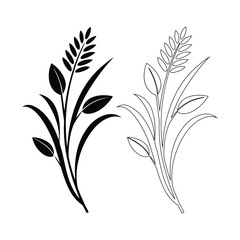 Rice plant with grain and leaves