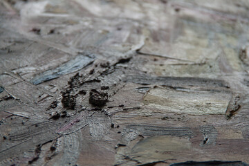 Artist's palette. Abstract art background. Rough brushstroke texture. Art palette