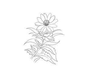 Botanical Flower and Plant Line Art, Hand-Drawn Floral Outline Illustration, Simple Black and White Flower Drawing, Elegant Flower and Leaves Sketch