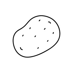 potato whole icon vector