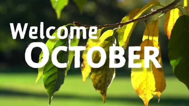 Welcoming October: Autumnal Leaves and a Gentle Breeze