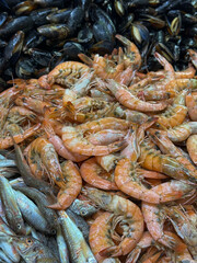 Fresh Seafood Assortment: Mussels, Shrimp, and Fish
