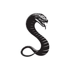 Fototapeta premium Vector art of stylized black and white illustration of a coiled cobra snake with open fangs, isolated on white background