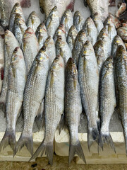 Obraz premium Freshly Caught Fish Piled for Market Sale