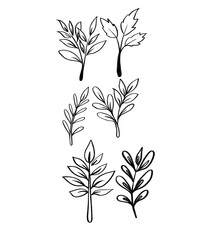 Colorful Leaf Branch Collection,Botanical Illustrations Vector Vibrant Foliage Set,Modern Plant Graphics Green and Teal Leaf Elements,Nature Inspired Designs,Artistic Colored Leaf Sprigs,Botanical Art