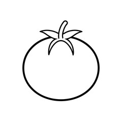 tomato icon vector