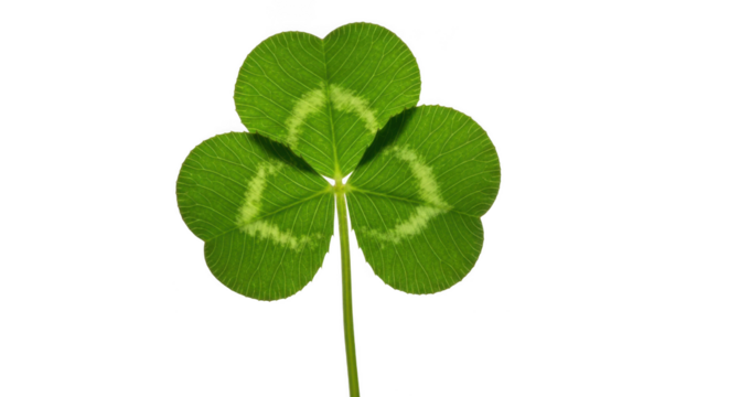 A single green clover leaf isolated on transparent background