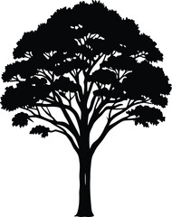 Acacia Tree Silhouette Vector
