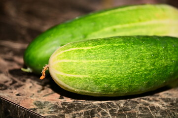 Cucumber