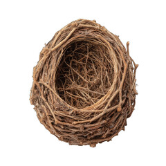 Empty bird nest, twigs, nature, outdoors, spring, background, isolated, design element