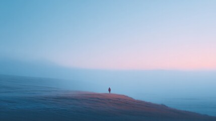 Fototapeta premium Lonely figure stands amidst vast landscape, enveloped in tranqui